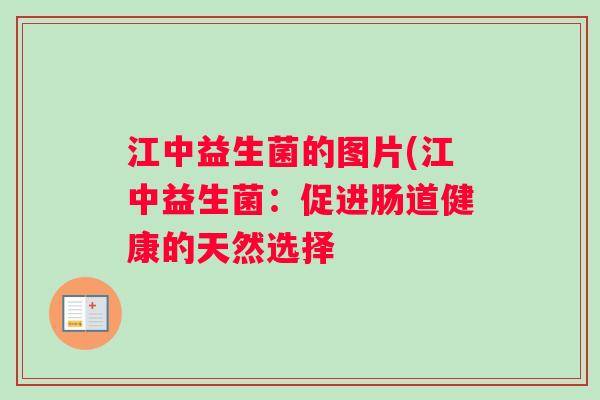 江中益生菌的图片(江中益生菌：促进肠道健康的天然选择