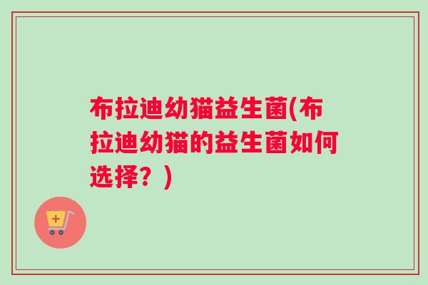 布拉迪幼猫益生菌(布拉迪幼猫的益生菌如何选择？)