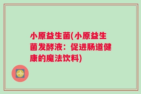 小原益生菌(小原益生菌发酵液：促进肠道健康的魔法饮料)