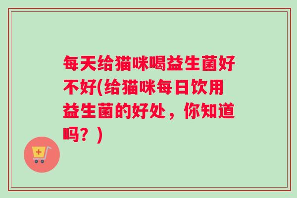 每天给猫咪喝益生菌好不好(给猫咪每日饮用益生菌的好处，你知道吗？)