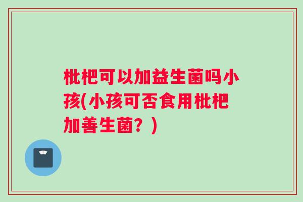 枇杷可以加益生菌吗小孩(小孩可否食用枇杷加善生菌？)