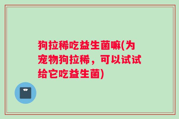 狗拉稀吃益生菌嘛(为宠物狗拉稀，可以试试给它吃益生菌)