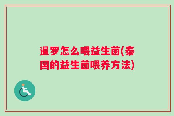 暹罗怎么喂益生菌(泰国的益生菌喂养方法)