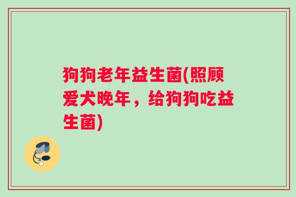 狗狗老年益生菌(照顾爱犬晚年，给狗狗吃益生菌)