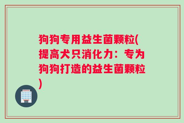 狗狗专用益生菌颗粒(提高犬只消化力：专为狗狗打造的益生菌颗粒)