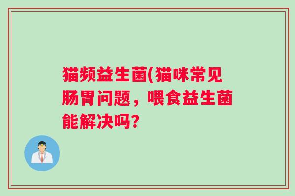 猫频益生菌(猫咪常见肠胃问题，喂食益生菌能解决吗？