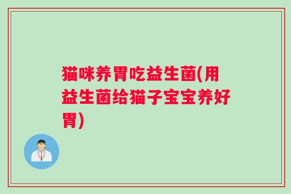 猫咪养胃吃益生菌(用益生菌给猫子宝宝养好胃)
