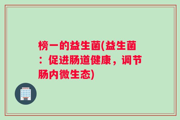榜一的益生菌(益生菌：促进肠道健康，调节肠内微生态)