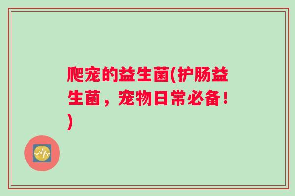 爬宠的益生菌(护肠益生菌，宠物日常必备！)