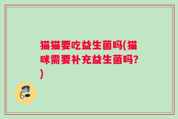 猫猫要吃益生菌吗(猫咪需要补充益生菌吗？)