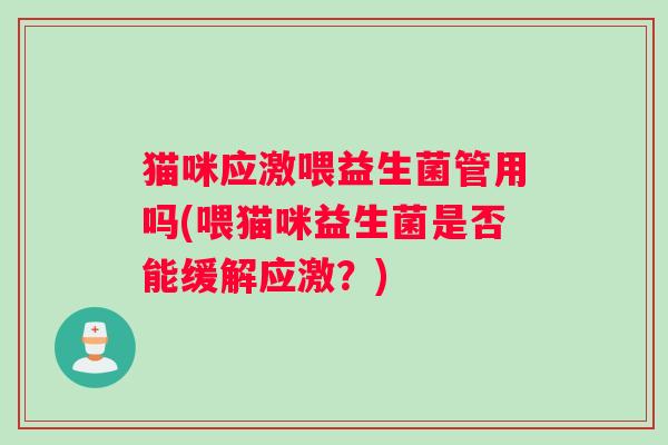 猫咪应激喂益生菌管用吗(喂猫咪益生菌是否能缓解应激？)