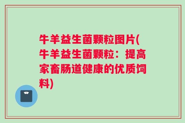 牛羊益生菌颗粒图片(牛羊益生菌颗粒：提高家畜肠道健康的优质饲料)