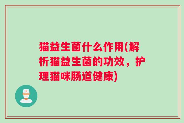 猫益生菌什么作用(解析猫益生菌的功效，护理猫咪肠道健康)