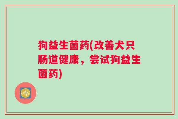 狗益生菌药(改善犬只肠道健康，尝试狗益生菌药)