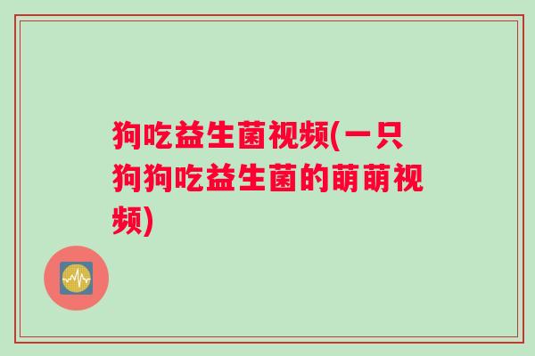 狗吃益生菌视频(一只狗狗吃益生菌的萌萌视频)
