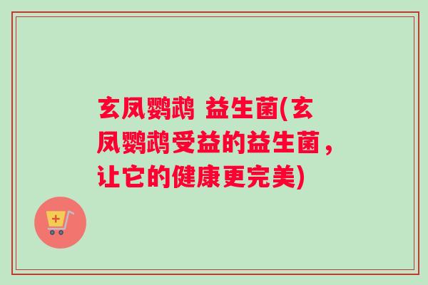 玄凤鹦鹉 益生菌(玄凤鹦鹉受益的益生菌，让它的健康更完美)