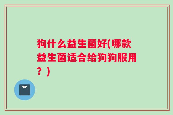 狗什么益生菌好(哪款益生菌适合给狗狗服用？)