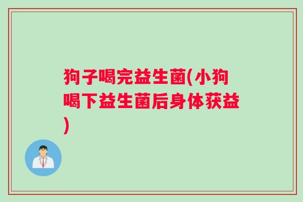 狗子喝完益生菌(小狗喝下益生菌后身体获益)