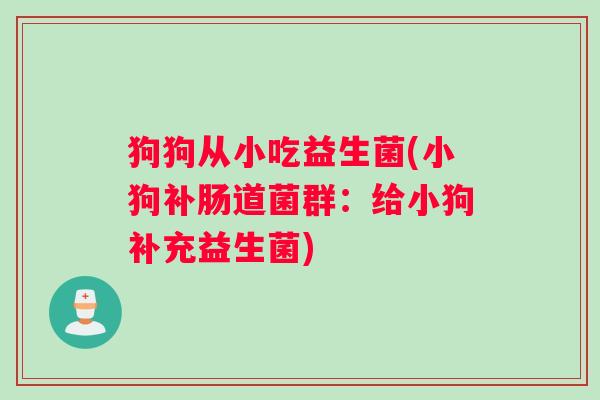 狗狗从小吃益生菌(小狗补肠道菌群：给小狗补充益生菌)