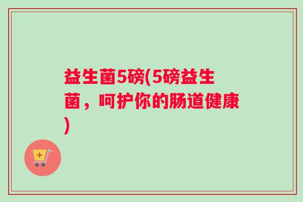 益生菌5磅(5磅益生菌，呵护你的肠道健康)