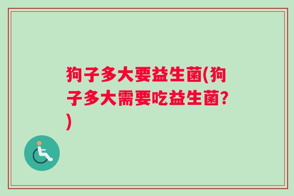 狗子多大要益生菌(狗子多大需要吃益生菌？)