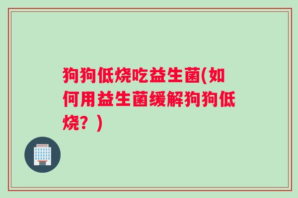 狗狗低烧吃益生菌(如何用益生菌缓解狗狗低烧？)