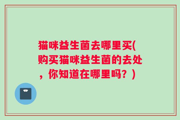 猫咪益生菌去哪里买(购买猫咪益生菌的去处，你知道在哪里吗？)