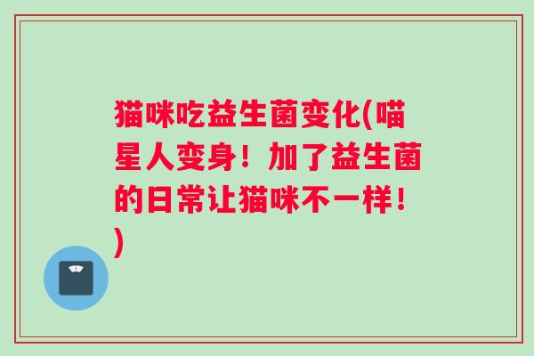 猫咪吃益生菌变化(喵星人变身！加了益生菌的日常让猫咪不一样！)