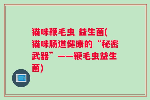 猫咪鞭毛虫 益生菌(猫咪肠道健康的“秘密武器”——鞭毛虫益生菌)