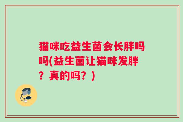 猫咪吃益生菌会长胖吗吗(益生菌让猫咪发胖？真的吗？)