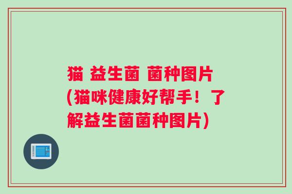 猫 益生菌 菌种图片(猫咪健康好帮手！了解益生菌菌种图片)