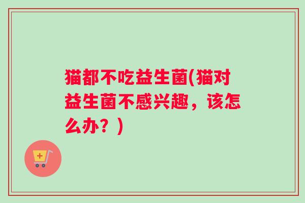 猫都不吃益生菌(猫对益生菌不感兴趣，该怎么办？)