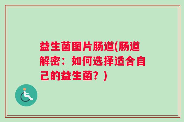 益生菌图片肠道(肠道解密：如何选择适合自己的益生菌？)
