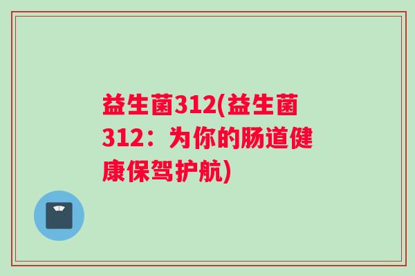 益生菌312(益生菌312：为你的肠道健康保驾护航)