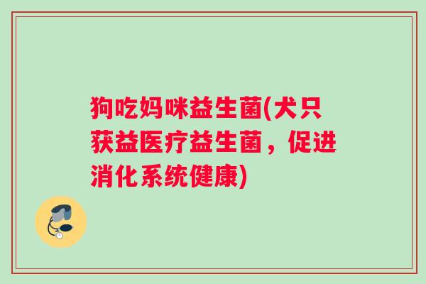 狗吃妈咪益生菌(犬只获益医疗益生菌，促进消化系统健康)