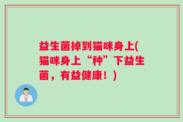 益生菌掉到猫咪身上(猫咪身上“种”下益生菌，有益健康！)