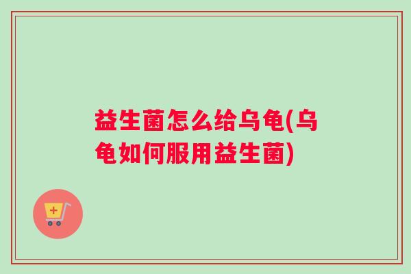 益生菌怎么给乌龟(乌龟如何服用益生菌)