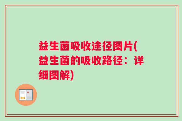 益生菌吸收途径图片(益生菌的吸收路径：详细图解)