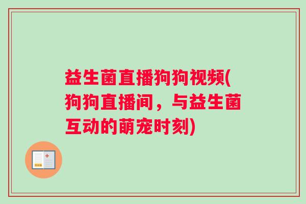 益生菌直播狗狗视频(狗狗直播间，与益生菌互动的萌宠时刻)