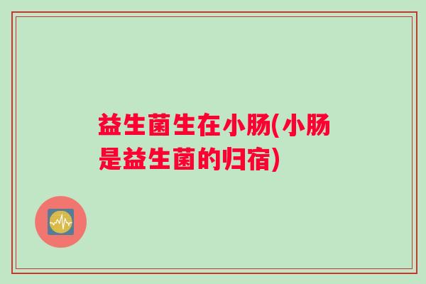 益生菌生在小肠(小肠是益生菌的归宿)