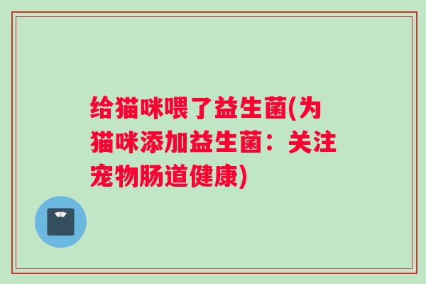 给猫咪喂了益生菌(为猫咪添加益生菌：关注宠物肠道健康)