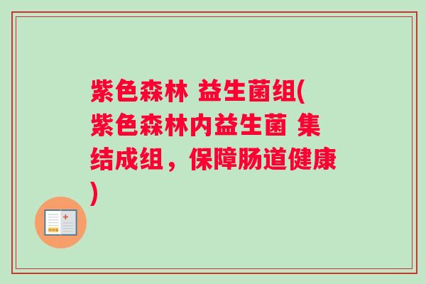 紫色森林 益生菌组(紫色森林内益生菌 集结成组，保障肠道健康)