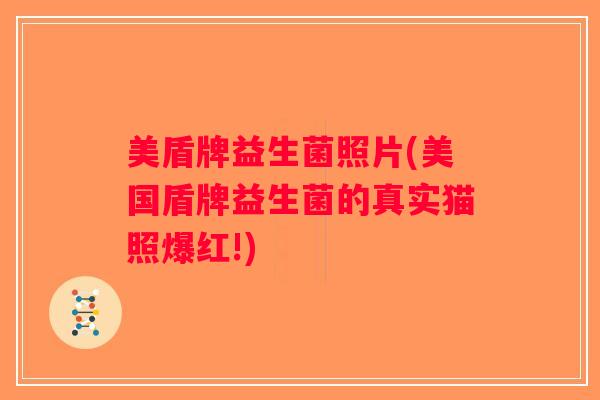 美盾牌益生菌照片(美国盾牌益生菌的真实猫照爆红!)