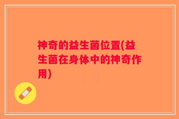 神奇的益生菌位置(益生菌在身体中的神奇作用)