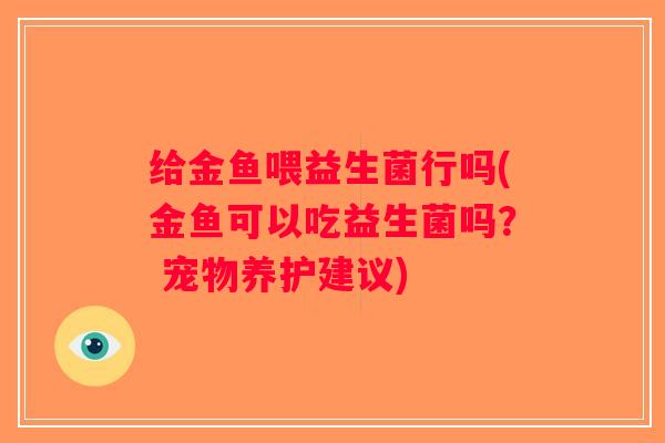 给金鱼喂益生菌行吗(金鱼可以吃益生菌吗？ 宠物养护建议)