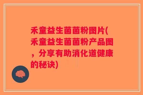 禾童益生菌菌粉图片(禾童益生菌菌粉产品图，分享有助消化道健康的秘诀)