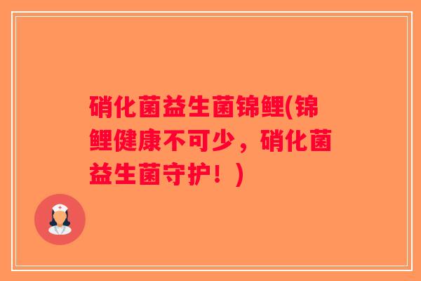 硝化菌益生菌锦鲤(锦鲤健康不可少，硝化菌益生菌守护！)