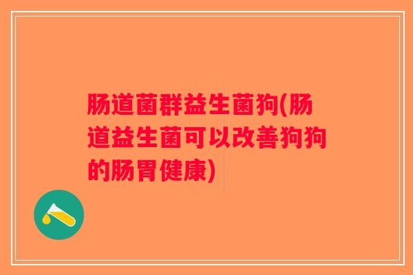 肠道菌群益生菌狗(肠道益生菌可以改善狗狗的肠胃健康)