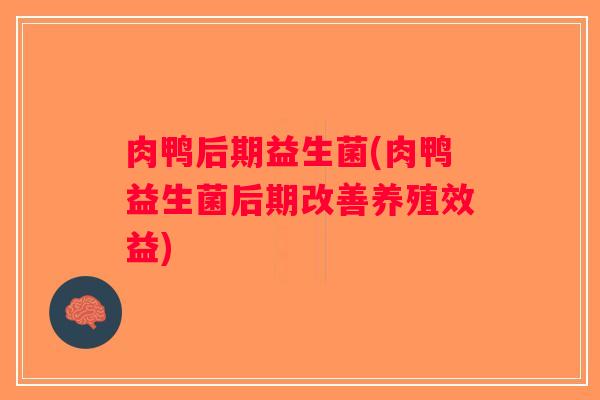 肉鸭后期益生菌(肉鸭益生菌后期改善养殖效益)