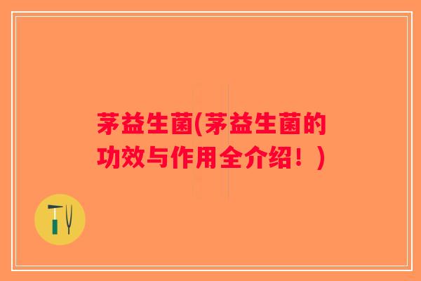 茅益生菌(茅益生菌的功效与作用全介绍！)